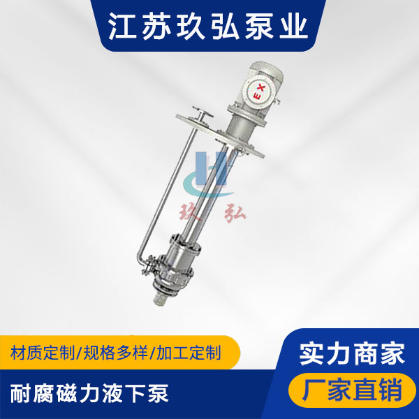 HYC耐腐磁力液下（xià）泵(圖1)