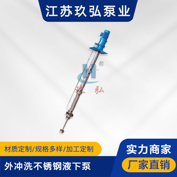 LY長軸外衝（chōng）洗不鏽鋼（gāng）液下泵(圖1)