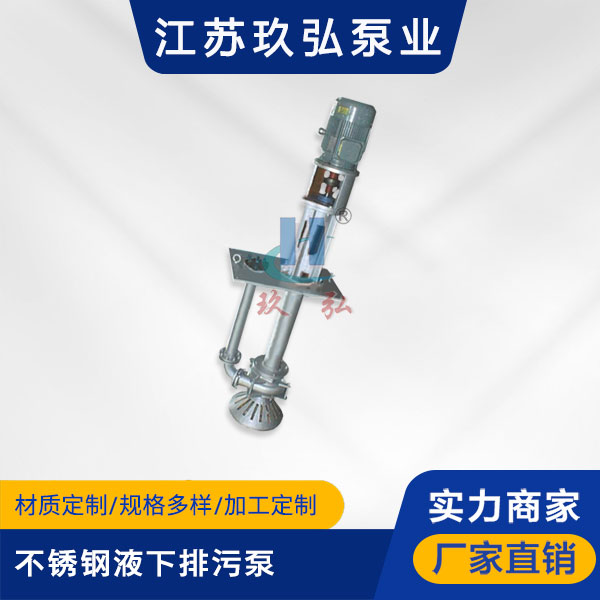 KBW不（bú）鏽鋼液下排汙泵(圖1)