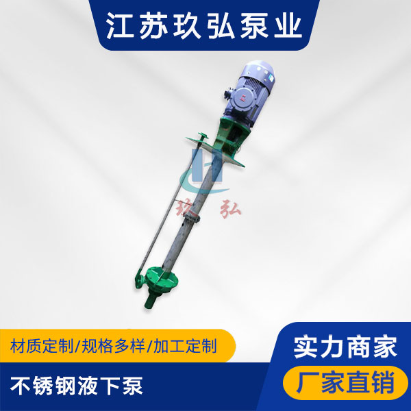 FY型（xíng）不鏽鋼液下泵(圖1)