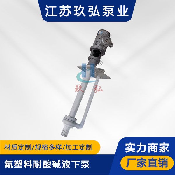 FYS氟塑（sù）料耐酸（suān）堿液下泵(圖1)