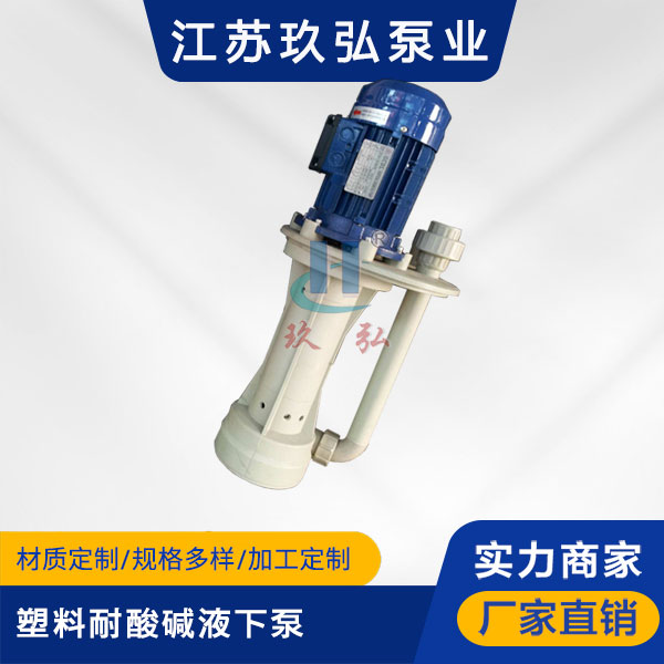 TPT塑料耐酸堿液下泵（bèng）(圖1)