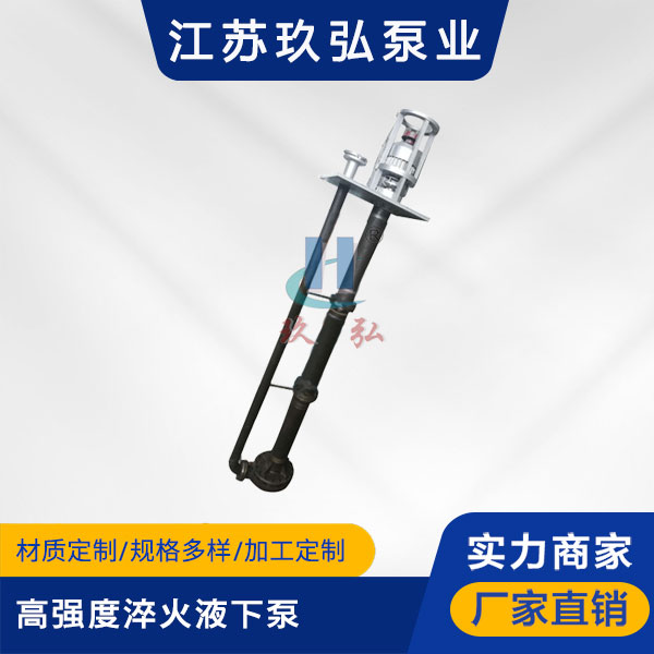 GFY高強度淬火液下泵(圖1)