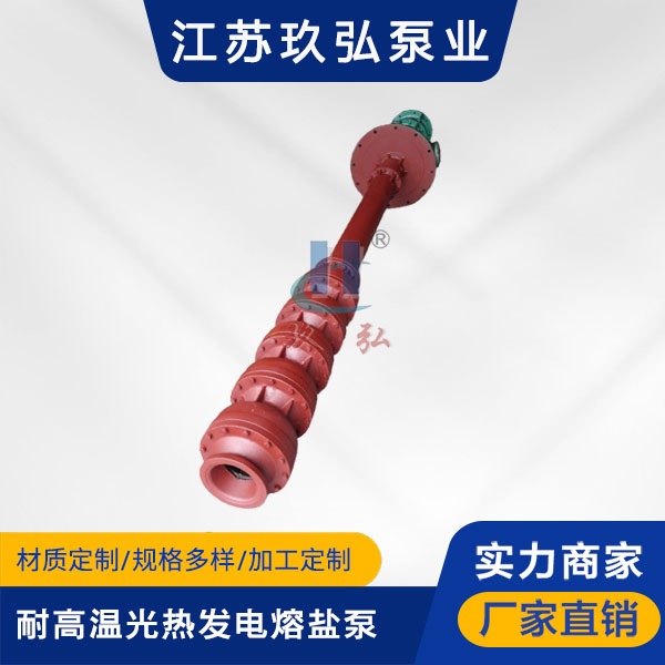 RY耐高溫光熱（rè）發電熔鹽泵(圖（tú）1)