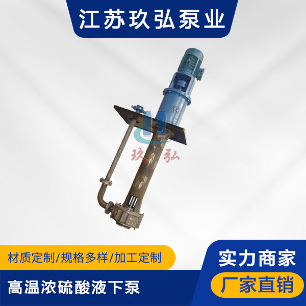 LSB高溫濃硫酸液下（xià）泵(圖1)