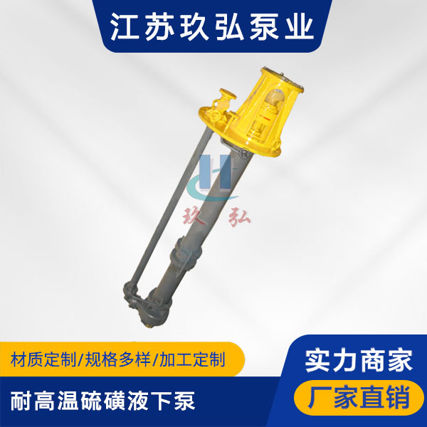 LHY耐高溫硫磺液下泵(圖（tú）1)