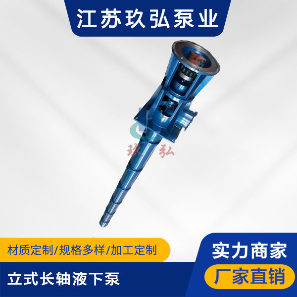 HLC立式長軸（zhóu）液下泵(圖1)