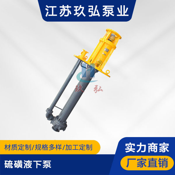 LHY型硫磺液下泵(圖1) LHY型硫磺液下泵(圖1)