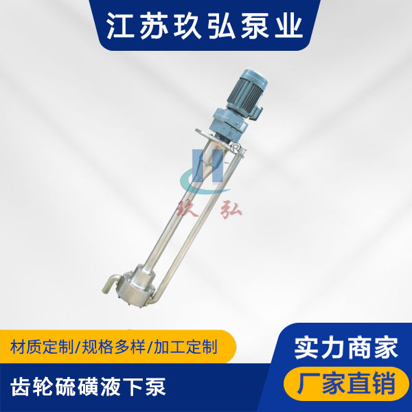 ATY齒輪硫磺液下泵【液硫泵】(圖1)