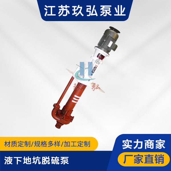 PLC液下地坑（kēng）脫硫泵(圖1)