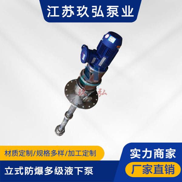 HDY立式防爆多（duō）級液下泵(圖1)