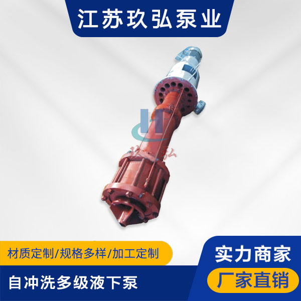 DLY自衝洗多（duō）級液（yè）下泵(圖1)