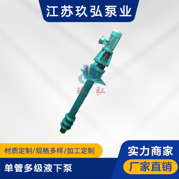 DLY-II單(dān)管多級液(yè)下泵(圖(tú)1) DLY-II單管多級液下泵(圖1)