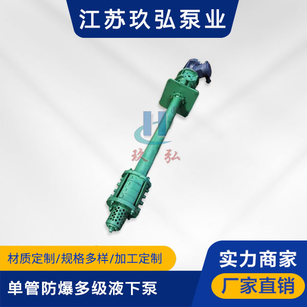 DLY單(dān)管防爆多級液下泵(圖1) DLY單管防爆多級液下泵(圖1)