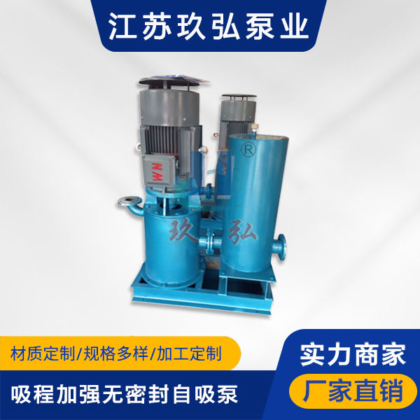 WFB吸程加強型自（zì）控自吸（xī）泵(圖1)