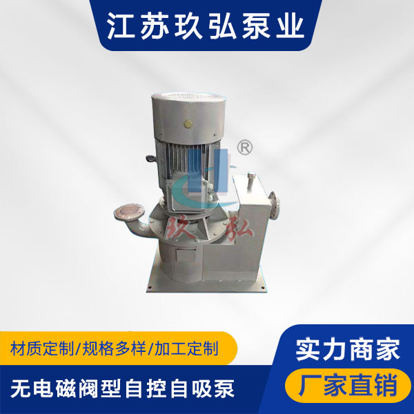 WFB新款無密封自控自吸泵(圖1)