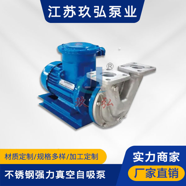 VSP不鏽鋼強力真空自吸泵(圖1)