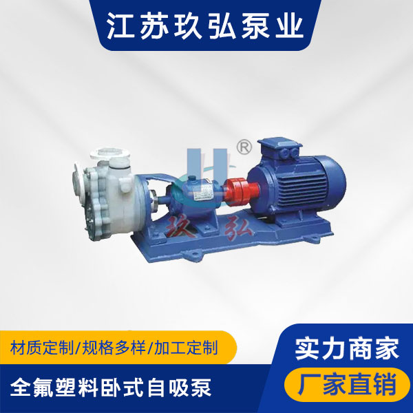 FZB全氟塑（sù）料臥式自吸（xī）泵(圖1)