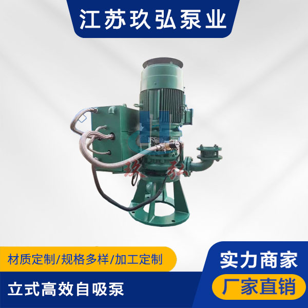 GLB立式高效自吸（xī）泵(圖1)