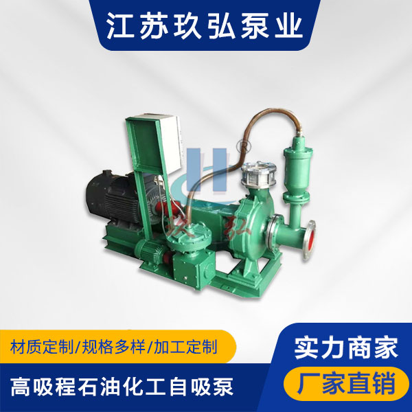 TZFB高吸程強自吸泵(圖1)