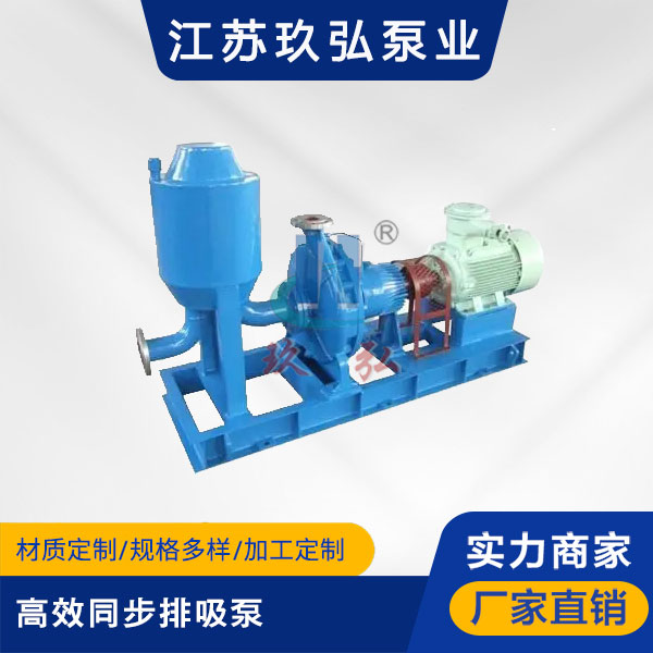 TBZB高效同（tóng）步排吸泵(圖1)