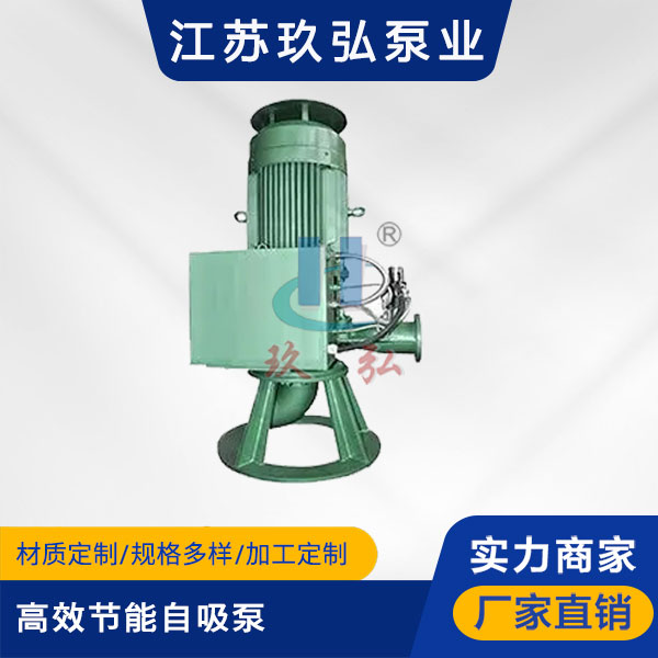 GLB高效節能自吸泵(圖1) GLB高效節能自吸泵(圖1)