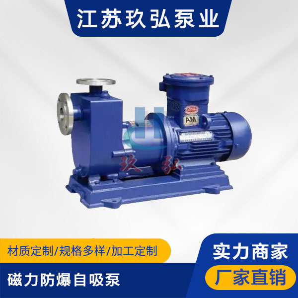 ZCQ磁力防爆自吸泵(圖1) ZCQ磁力防爆自吸泵(圖1)