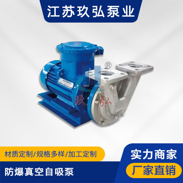 VSP防爆真空自吸泵(圖1)