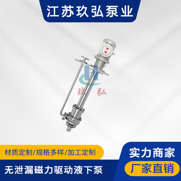 HYC無泄漏磁力驅動(dòng)液下泵(圖1) HYC無(wú)泄漏磁力驅動(dòng)液下泵(圖1)