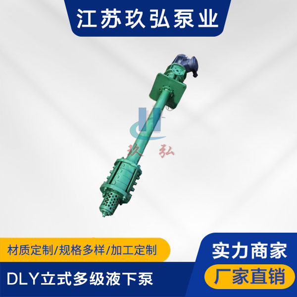 DLY立式多(duō)級液下泵(圖1) DLY立式多級液(yè)下泵(圖1)