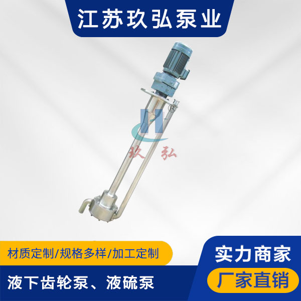 ATY液下齒輪（lún）泵、液硫泵(圖1)