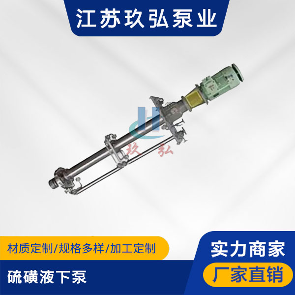 LHY硫磺液下泵【液硫泵】(圖1) LHY硫磺液下泵【液(yè)硫泵】(圖(tú)1)