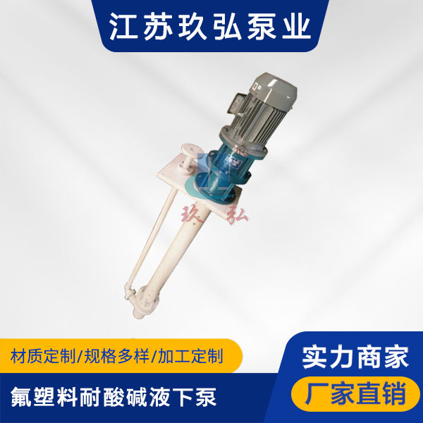 FYS-II氟塑（sù）料耐酸堿液下泵(圖1)