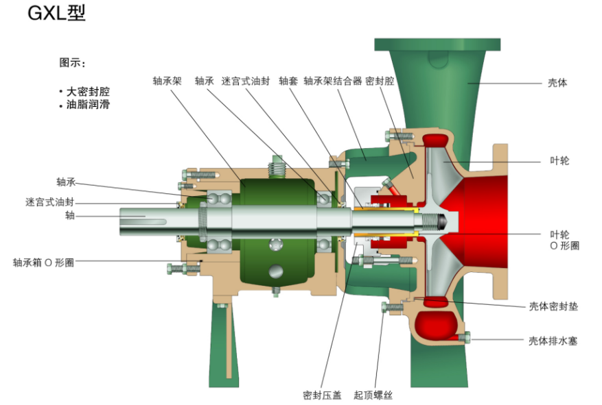 G係列ANSI標準化工流程泵(圖11)