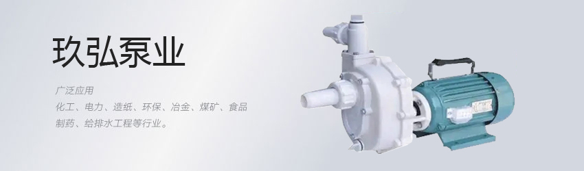 自控自吸（xī）泵