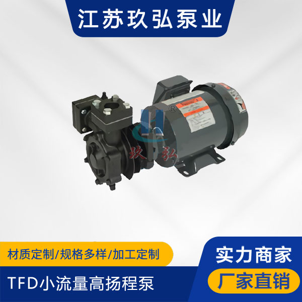 TFD小流量高揚程泵(圖1) TFD小流量高揚程泵(圖1)