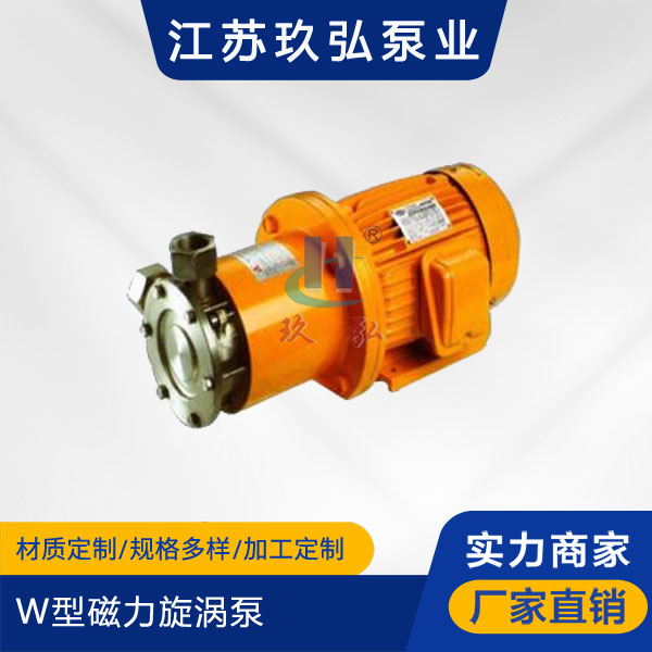 W型磁力旋渦泵(圖1)