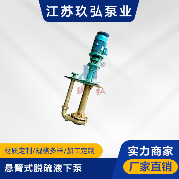 脫硫（liú）泵的（de）使用注意事項（xiàng）介紹(圖1)